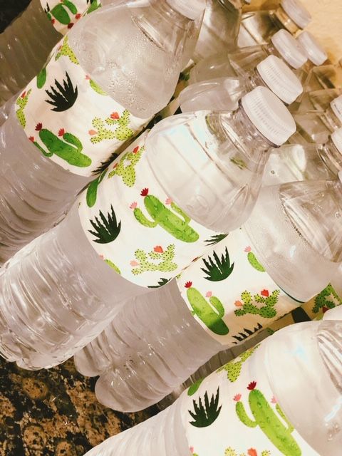 bottled water with succulent tape for cactus baby shower | Busy Life Healthy Wife
