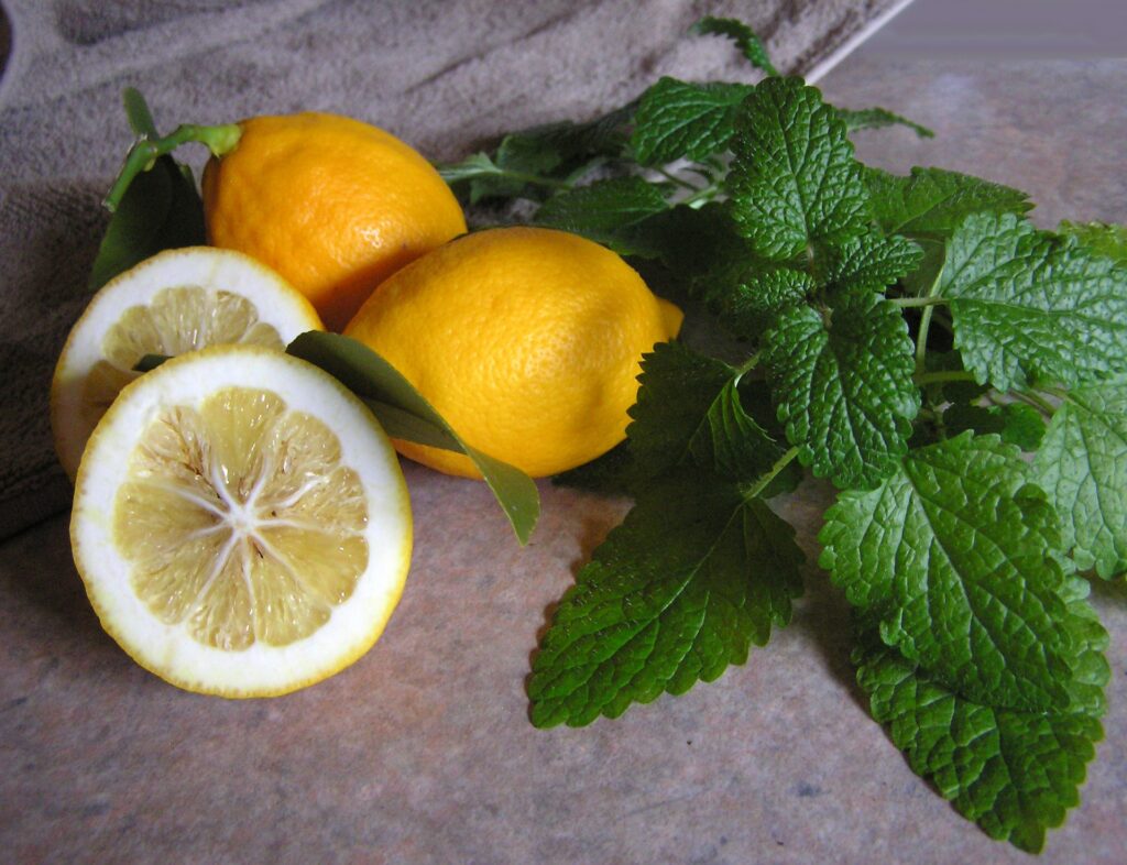 two whole lemons with two slices of lemon and some lemon balm | Busy Life Healthy Wife holistic healing practitioner