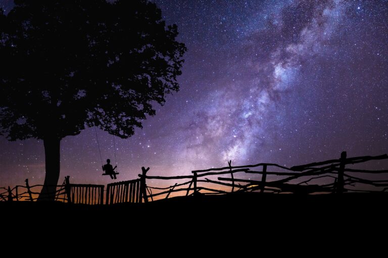 Silhoutte of a tree fence and someone swinging with a purple blue starry night sky as a backdrop | Oracle Card Reading by Busy Life Healthy Wife
