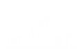 White Busy Life Healthy Wife Logo with a silhoutte of a woman with curly hair and the words Busy Life Healthy Wife and also the words Effortlessly WooWoo Effortlessly You | Spiritual Marketing Coach